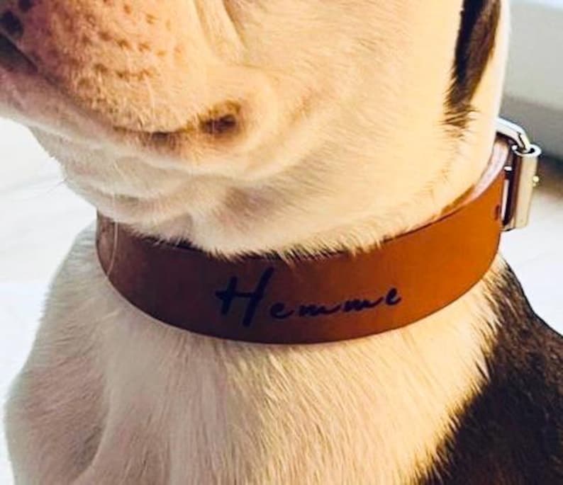 Op de afbeelding: Een bruine leren hondenriem met de naam "Hemme" in zwarte letters gegraveerd.