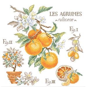 Study « Citrus »  + Linen swatch + charm