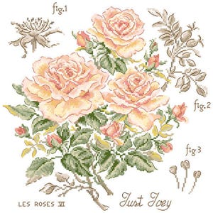 Rose study « Just Joey » + Linen swatch + charm