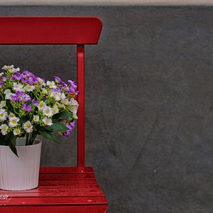 Little Red Chair, Art Print