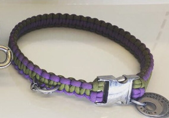Sandstorm tan and black collar for dogs