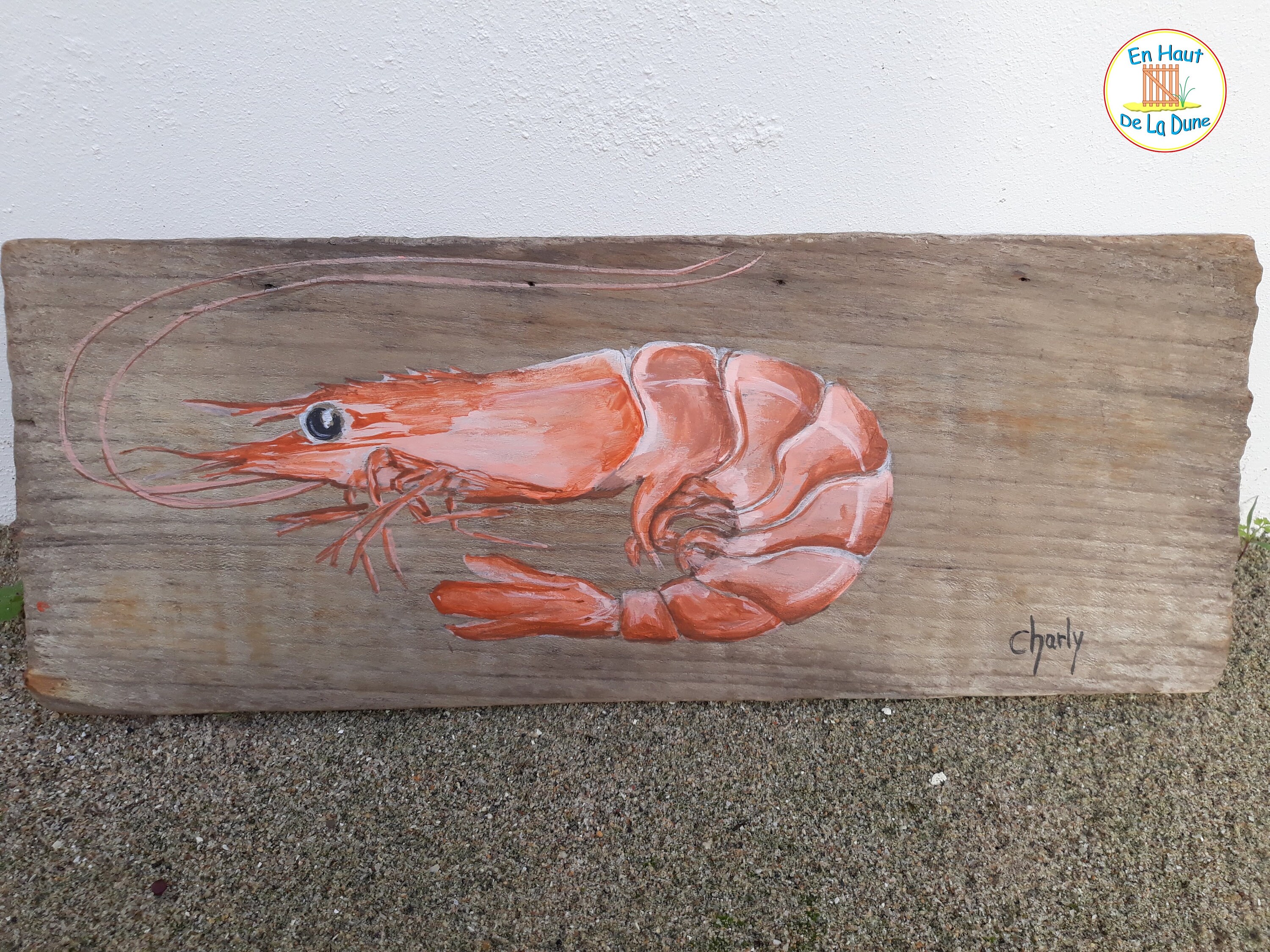 Peinture Crevette Bouquet Bois Flotté Décor Crustacé Art Brut Récupéré Naturel Original Mer Plage No