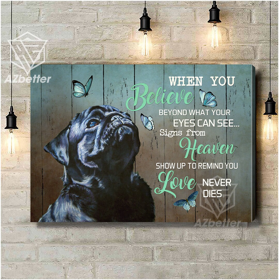 I can show you a cheap pug