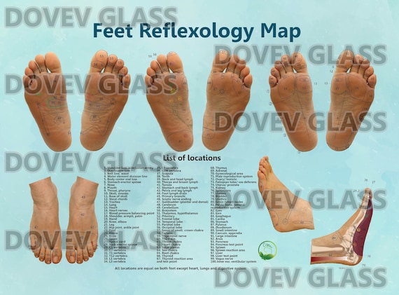 Foot Reflection Chart