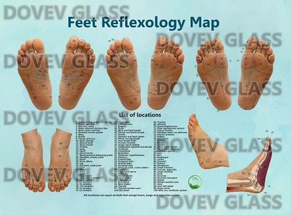 Foot Reflection Chart