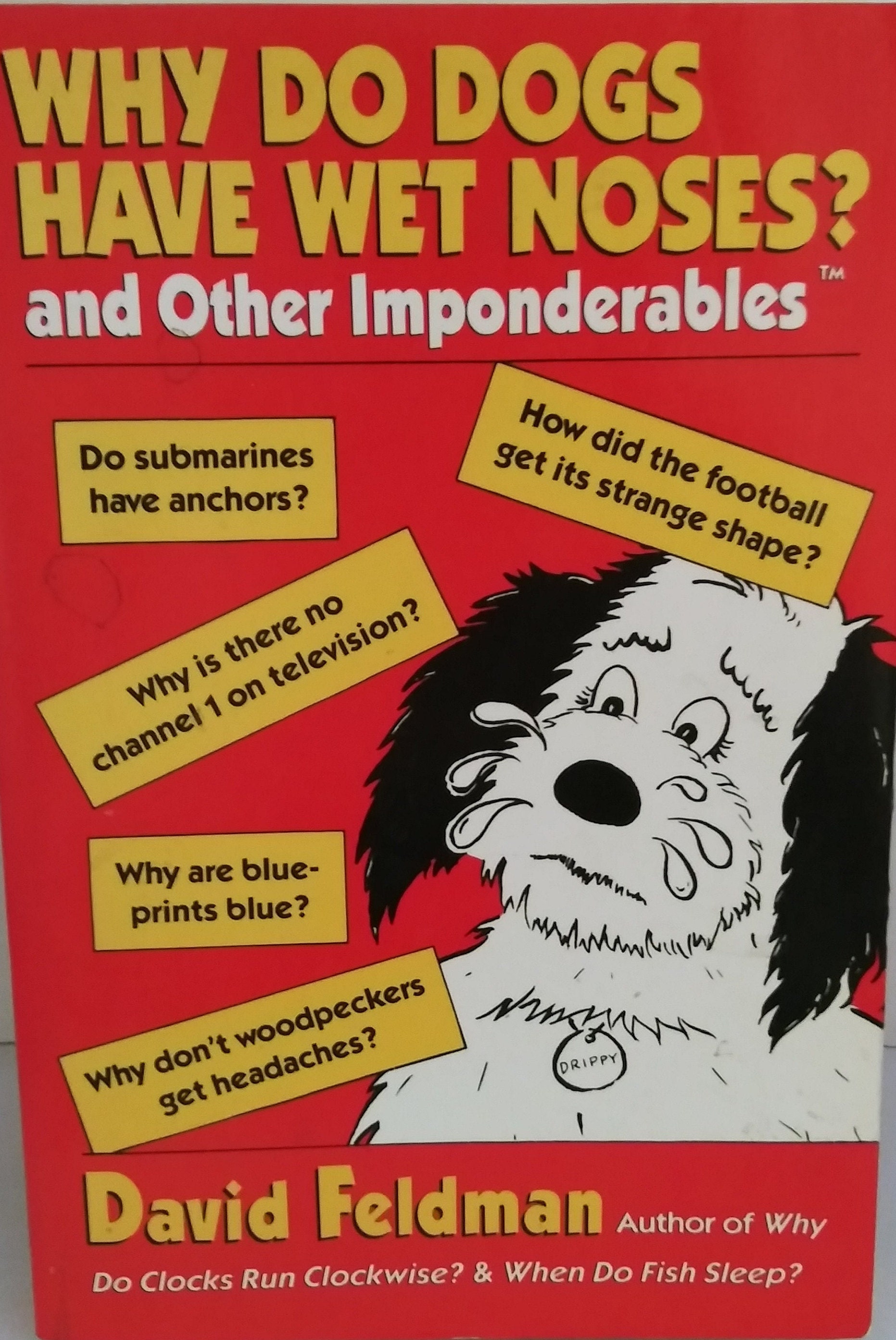 Why Do Dogs Have Wet Noses