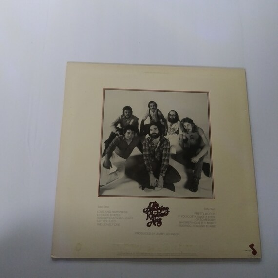 Amazing Rhythm Aces Debut Vinyl - 1979 ABC Records LP - Etsy