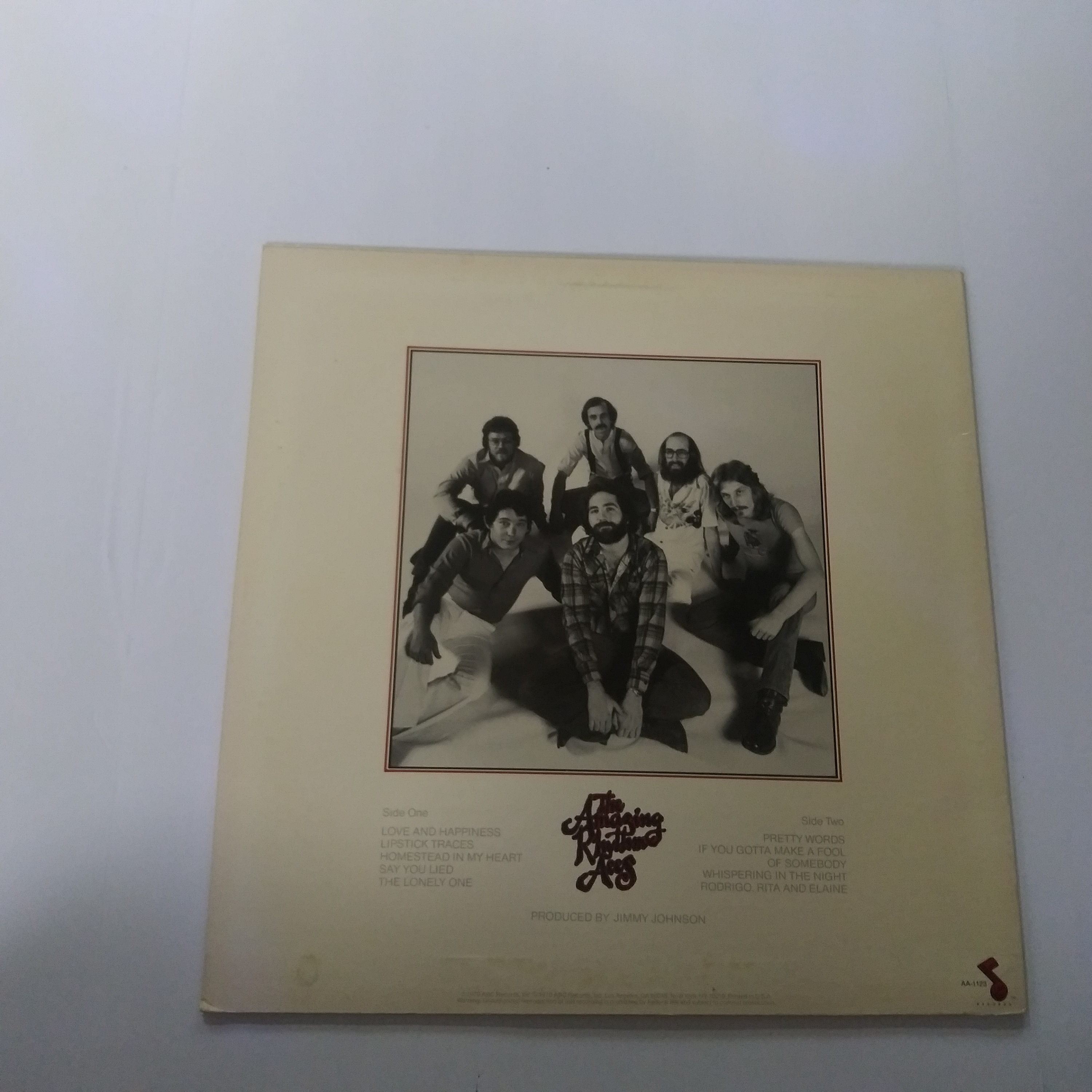 Amazing Rhythm Aces Debut Vinyl - 1979 ABC Records LP - Etsy