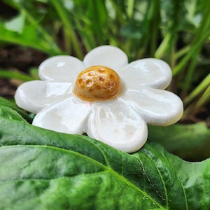 May include: A ceramic flower ornament featuring eight smooth, glossy white petals surrounding a textured, rounded golden-brown center. The object has a reflective, glazed finish and is shaped like a daisy, showcasing a simple, rounded floral design.