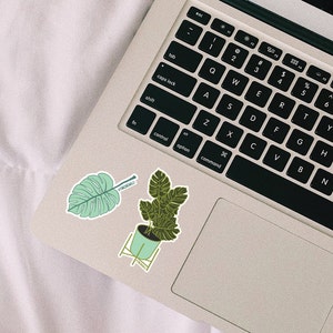 Plant Sticker | 2&quot; x 3&quot; Vinyl Decal | Water Bottle Sticker | Laptop Sticker | Gift
