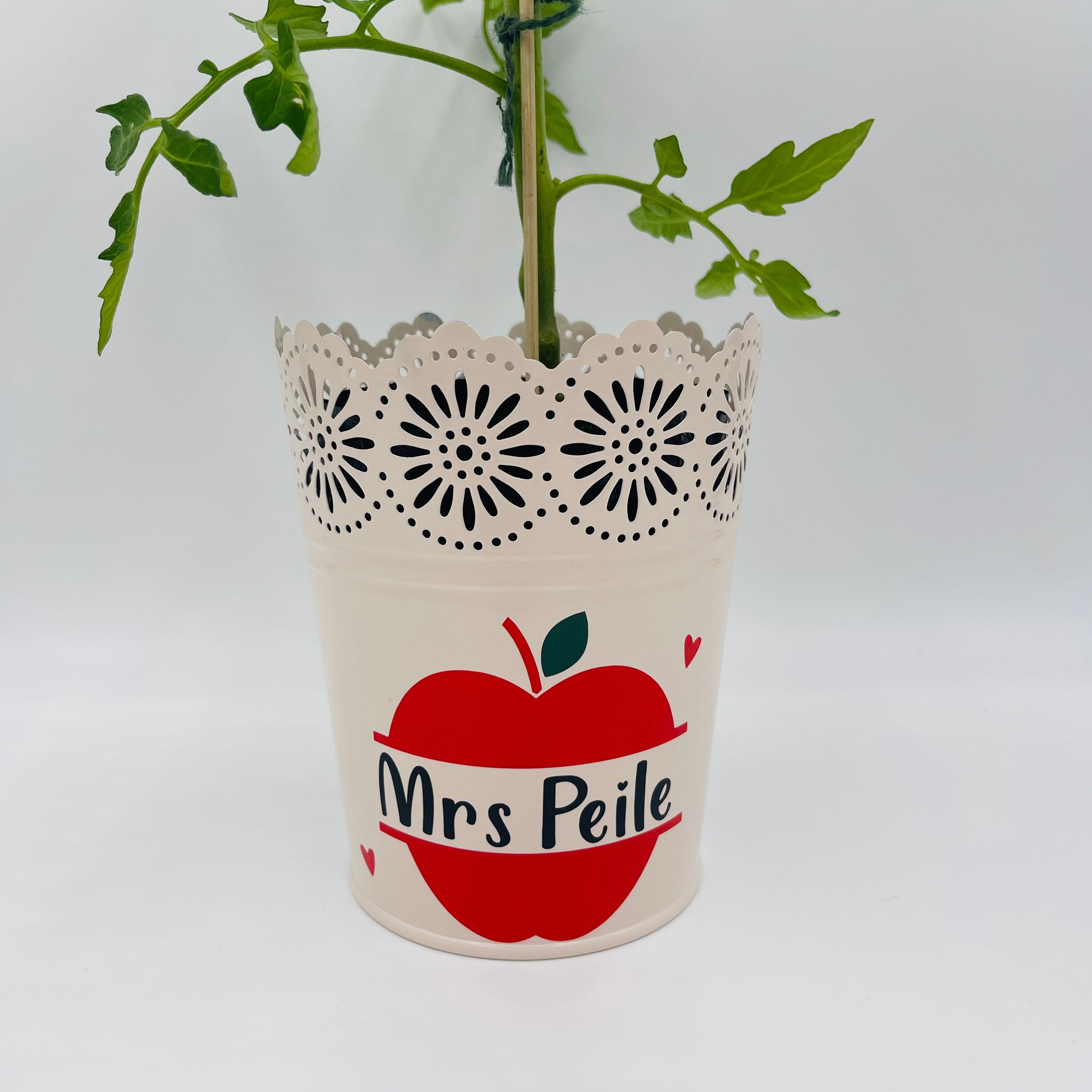 Personalised Teacher Plant Pot Flower Pot Gift Teacher Etsy