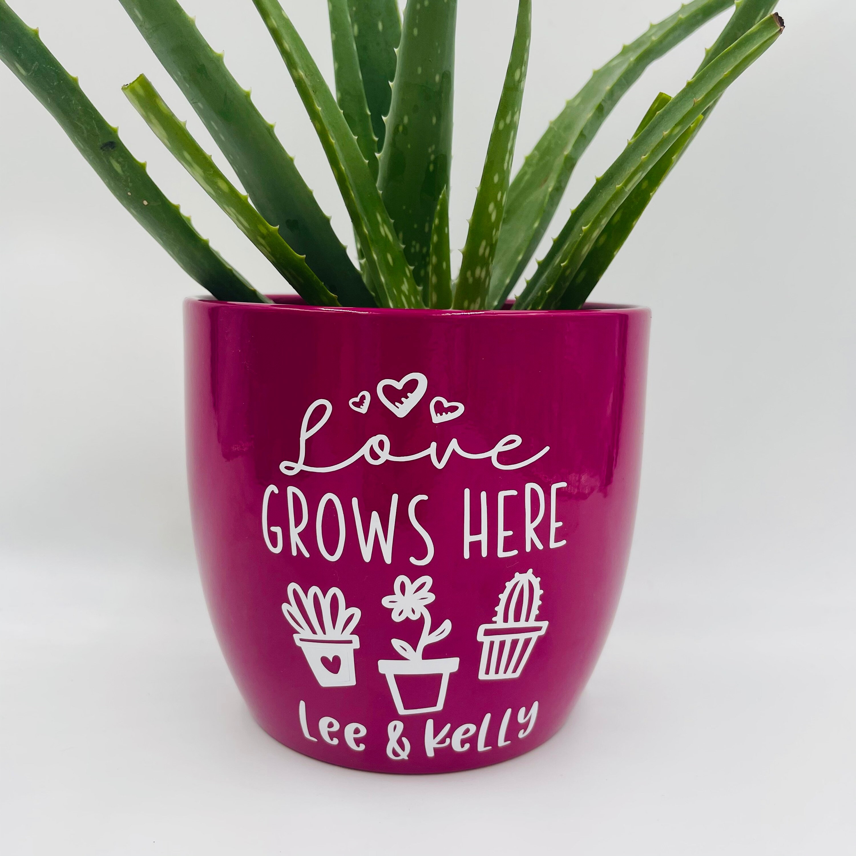 Personalised Love Grows Here Plant Pot Valentines Day Plant | Etsy