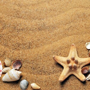 May include: A starfish and various seashells on a sandy beach background. The starfish is light brown with five points and a textured surface. The seashells are a variety of shapes and sizes, including white, brown, and pink.