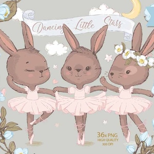 Brown Ballerina Bunny, Dancing Bunny PNG Clipart, Little Bunny In Pink, Brown Rabbit, Cute Bunnies, Bunnies Nursery, Little Rabbit Family
