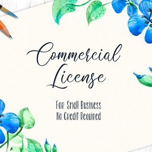 PICCOLA Licenza Commerciale / SINGOLO prodotto / per piccole imprese 500 copie (NESSUN credito richiesto)