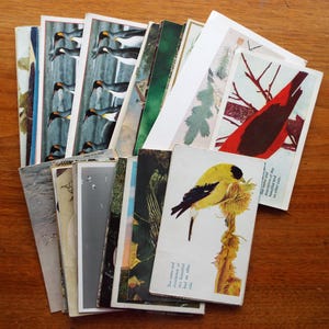 Lot de 54 CARTES POSTALES OISEAUX ASSORTIES Crane Flamingo Cardinal