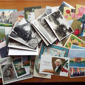 Lot de 52 CARTES POSTALES À SUJET ASSORTI Fleurs Photo réelle Exposition universelle George Washington