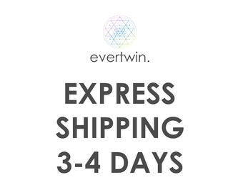 Express Versand - Europa