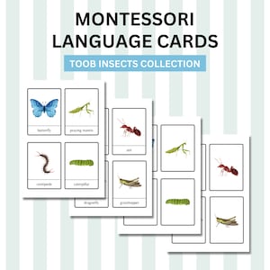 Montessori Language Cards (Toob Insects Collection) - Three-Period Lesson Compatible