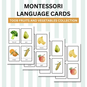 Montessori Language Cards (Toob Fruits and Vegetables Collection) - Three-Period Lesson Compatible