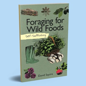 Book: Self-Sufficiency Foraging for Wild Foods Book - Forging for Food Book - Foraging Journal - Plant Identification Guide - Wild Foods