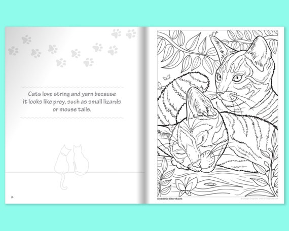 mon 1er livre de coloriage enfant animaux: Merveilleux Cahier de coloriage  pour garçons & filles, Apprendre à colorier pour les enfants dès 2 ans.  (Paperback) 