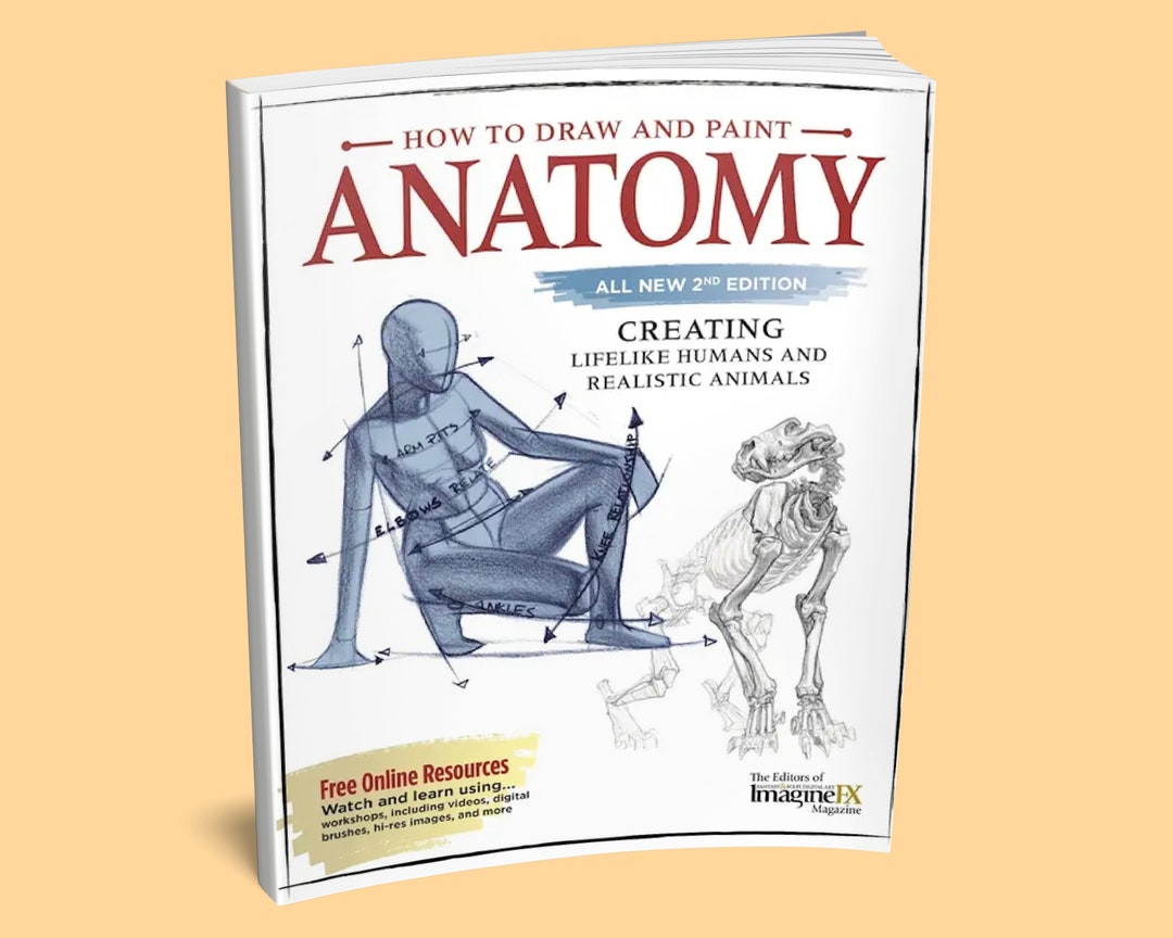 Drawing　Drawing　Animal　Book:　Drawing　Figure　Anatomy　Paint　Drawing　How　Draw　to　Book　Etsy　and　Anatomy　Character　Book　日本