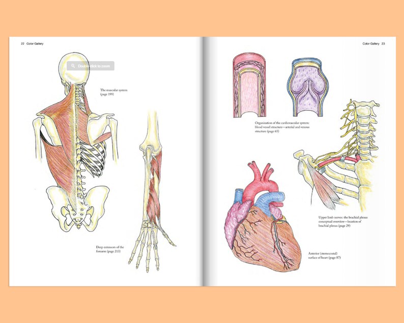 Complete Anatomy Coloring Book Anatomy Gifts Anatomy Notes - Etsy