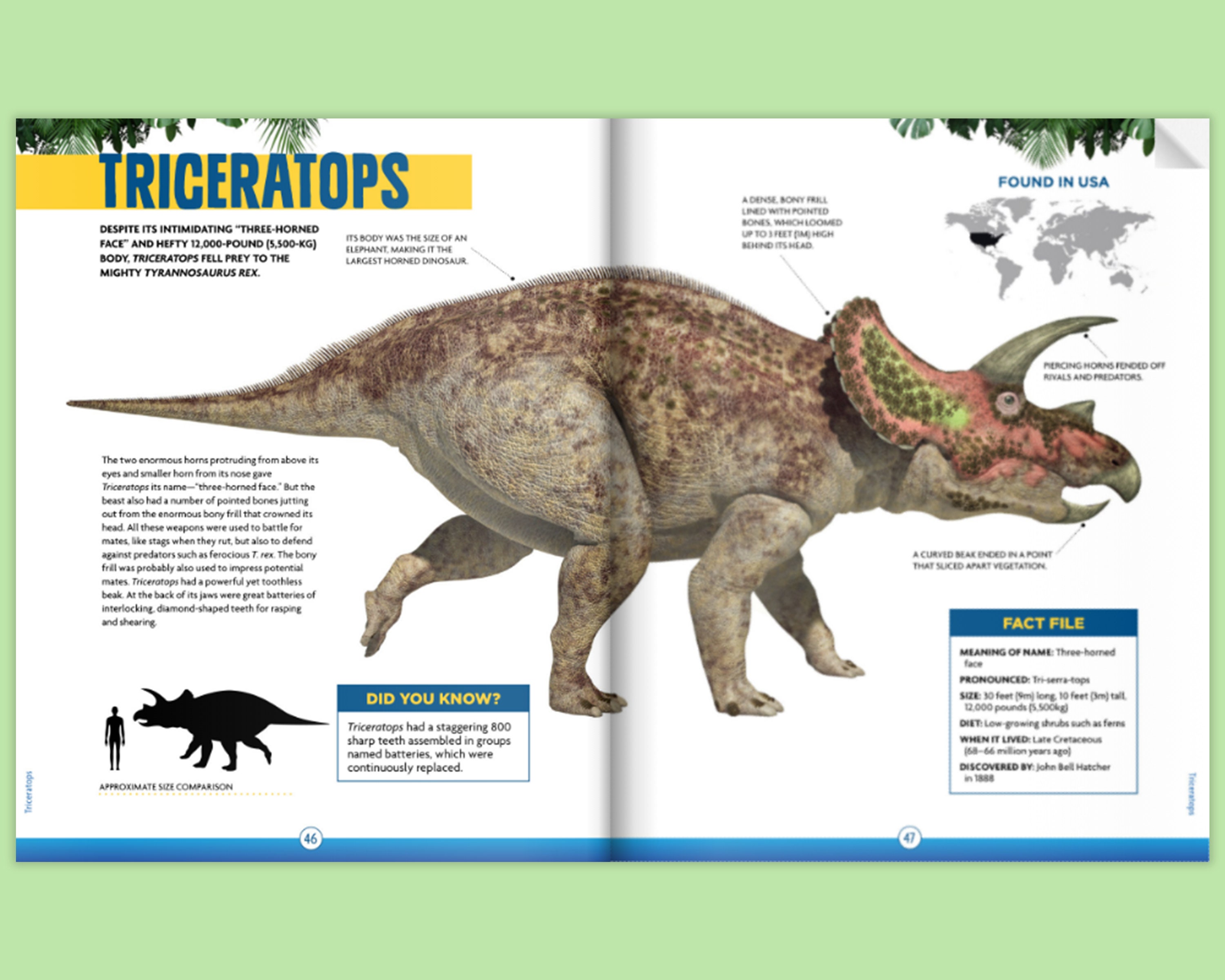 Jogo do Dinossauro: como jogar o Jogo do Dino do Google e curiosidades! –  Insights para te ajudar na car…