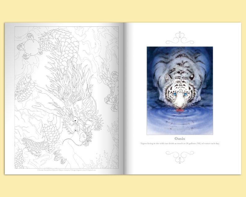 Download Mystical & Majestic Animals Coloring Book Fantasy Coloring | Etsy