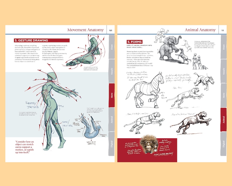 Book How to Draw and Paint Anatomy Book Drawing Anatomy Etsy