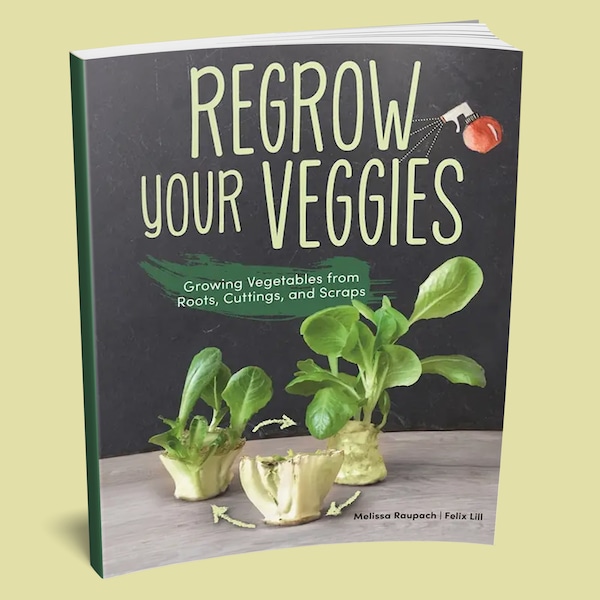 Book: Regrow Your Veggies Book - Vegetable Garden Gift - Vegetable Gardening Book - Gardener Gift - Gift for Gardener