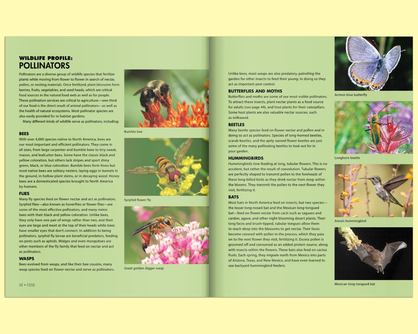 book-national-wildlife-federation-attracting-birds-etsy