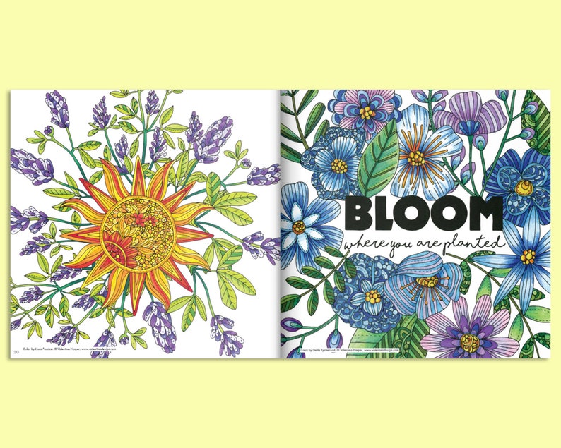 Coloring Book: Hidden Language of Flowers Adult Coloring and Activity Book Drawing Pages, Reflective Prompts, and Interactive Activities 画像 4