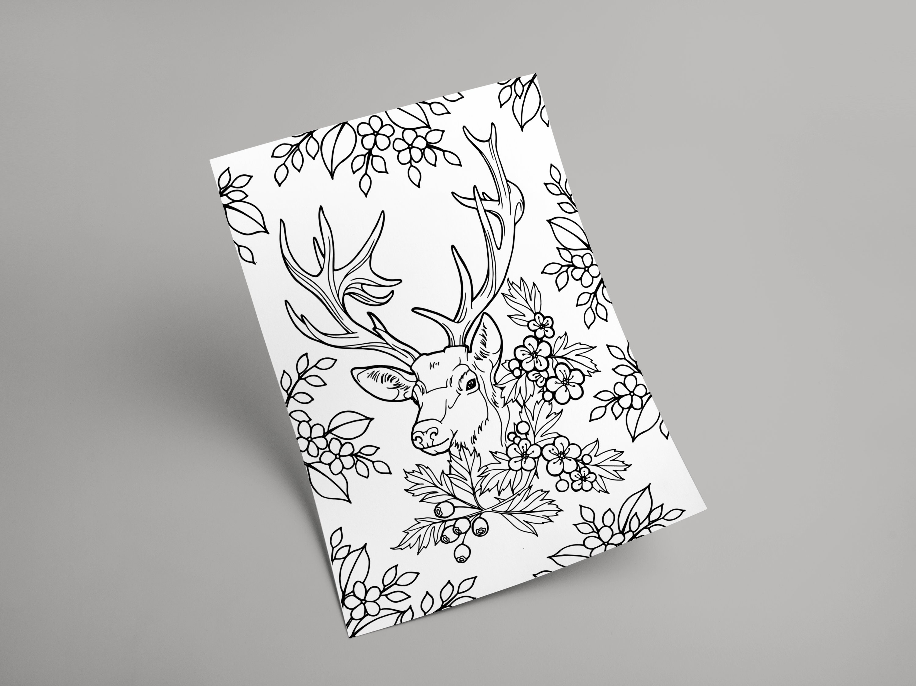 Stag Coloring Page. Instant Digital Download. Printable Art. - Etsy
