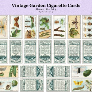 Op de afbeelding: Vintage sigarettenkaartjes met illustraties van insecten en planten. De kaartjes zijn uit een set genaamd "Garden Life" en zijn gelabeld met "Wills's Cigarettes".