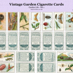 Cartões de cigarro vintage, conjunto de jardim 1, cartões de chá, cartões de chá/cigarro de jardim, kit digital, diário de lixo para impressão