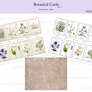 Journaling Cards, Botanical Cards Set 1, Junk Journal Ephemera, Vintage Florals, Printable Junk Journals, Ink Saving Download, Journaling