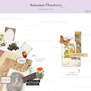 Puede incluir: Una hoja de collage digital con imágenes de temática otoñal, que incluyen una mariposa, una calabaza, un patrón floral y un cuadro de texto que dice "AUTUMN". La hoja también incluye una variedad de otras imágenes, como una página de libro vintage, un patrón de cuadros y un diseño floral. El texto "RUSTLING SOLITUDE" también está incluido en la hoja.