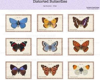 Distorted Butterflies, Journaling Cards, Specimen Cards, Butterflies, Junk Journaling Elements, Printable Ephemera,
