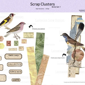 Bird Scrap Clusters for Junk Journals, Vintage Ephemera, Paper Crafting