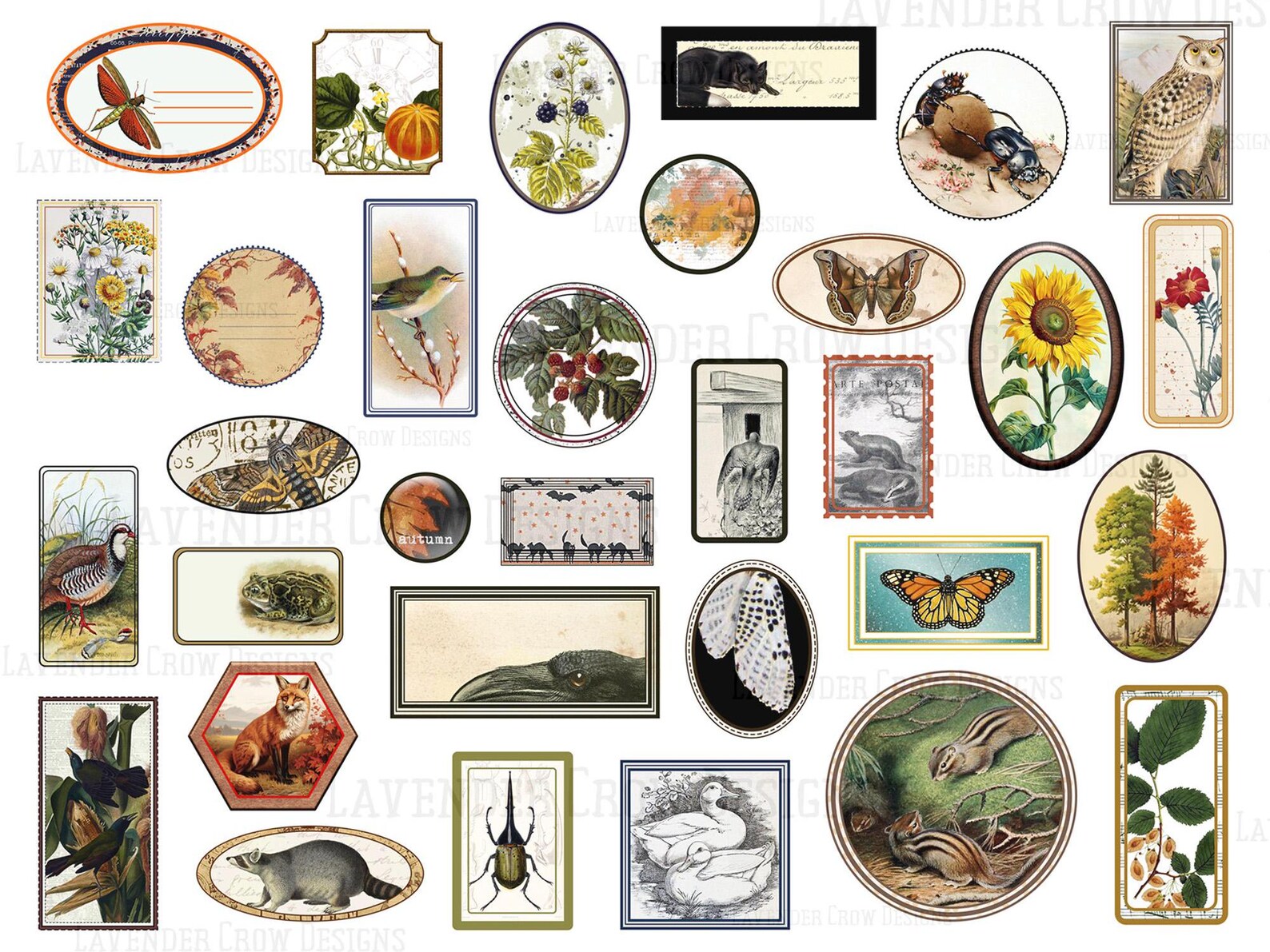 Fall Nature Labels, Autumnal Ephemera Stickers (PNG Cut File) - Etsy