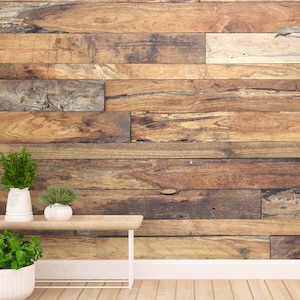 Natural Wood Texture Large Wall Mural, Self-adhesive Vinyl