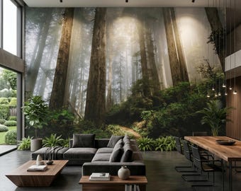Norte de California - Secuoyas - Mural de pared 162397964 - Muraledesign.com
