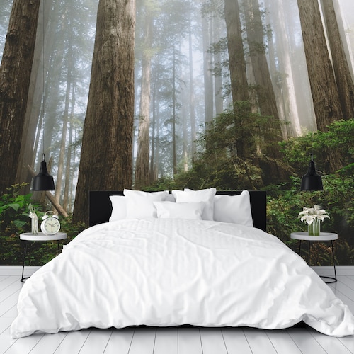 Northern California Redwoods Wall Mural 162397964 Etsy