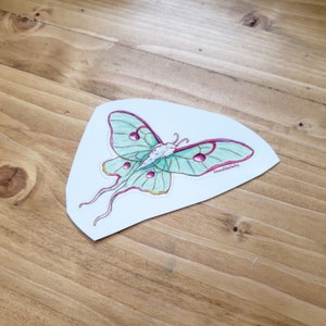 Luna Moth Vinyl Sticker Decal image 3