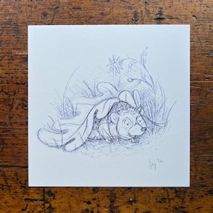 Può includere: Un disegno a penna e inchiostro in bianco e nero di un riccio che si nasconde sotto una grande foglia in un campo d'erba. Il riccio guarda da sotto la foglia con un'espressione sorpresa.