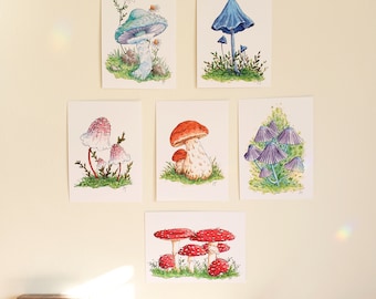 Lot de 6 imprimés de champignons assortis/cartes postales 5 x 7"