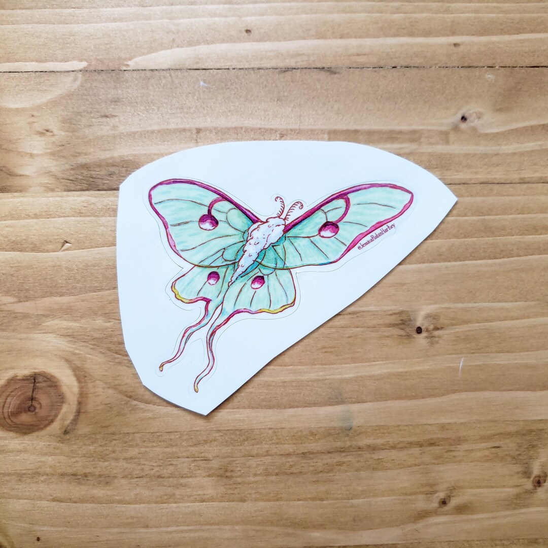 Luna Moth Vinyl Sticker Decal - Etsy