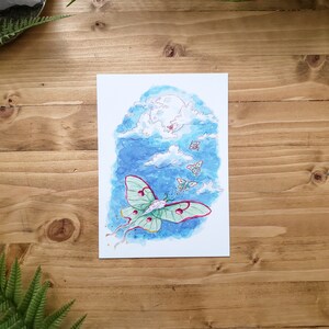 Luna Moth 5x7 Print